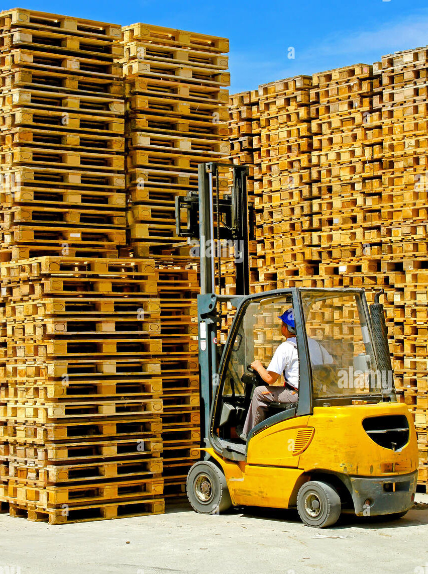 Timber Crates, Export Pallets, Custom & Branded Pallets, Plastic Pallets and Reconditioned Pallets